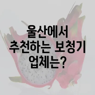 울산에서 추천하는 보청기 업체는?