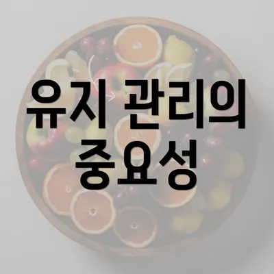 유지 관리의 중요성