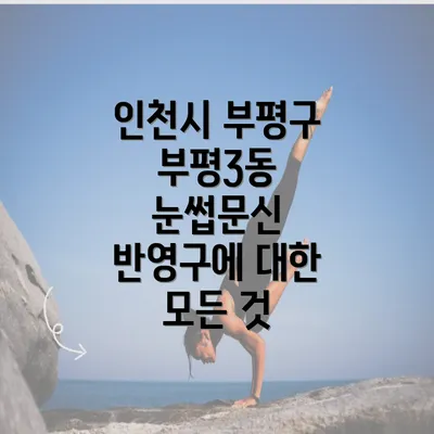 인천시 부평구 부평3동 눈썹문신 반영구에 대한 모든 것