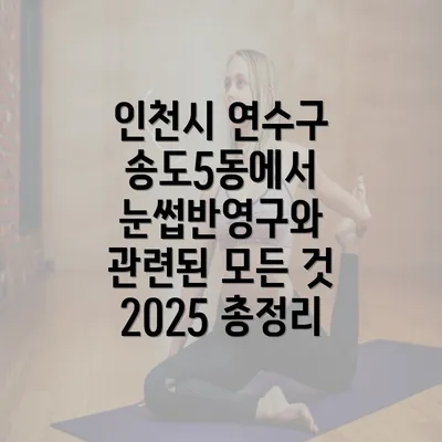 인천시 연수구 송도5동에서 눈썹반영구와 관련된 모든 것 2025 총정리