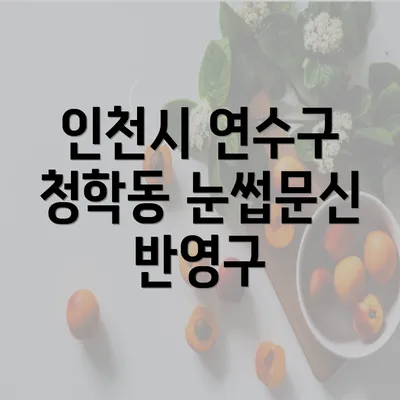 인천시 연수구 청학동 눈썹문신 반영구