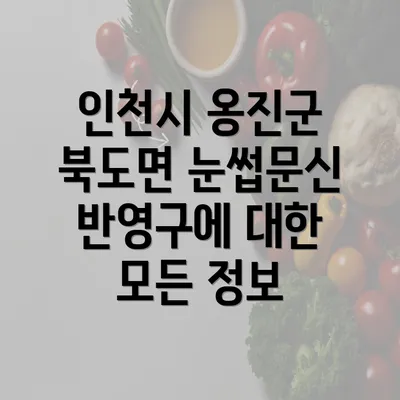 인천시 옹진군 북도면 눈썹문신 반영구에 대한 모든 정보