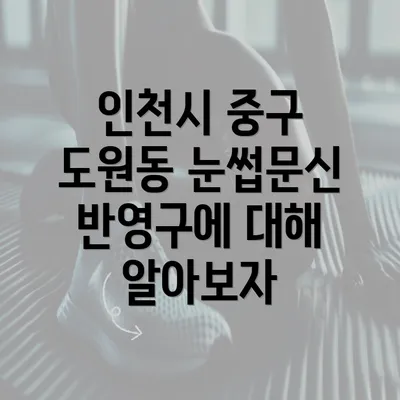 인천시 중구 도원동 눈썹문신 반영구에 대해 알아보자