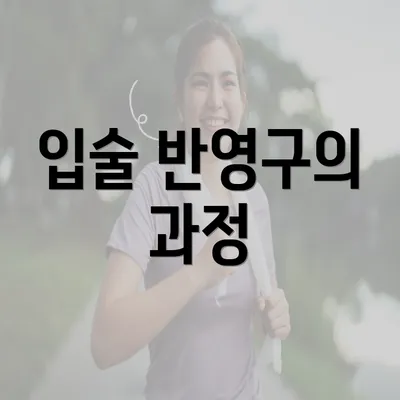 입술 반영구의 과정