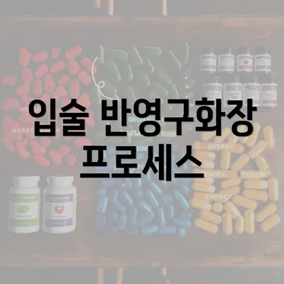 입술 반영구화장 프로세스