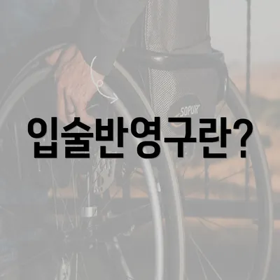 입술반영구란?