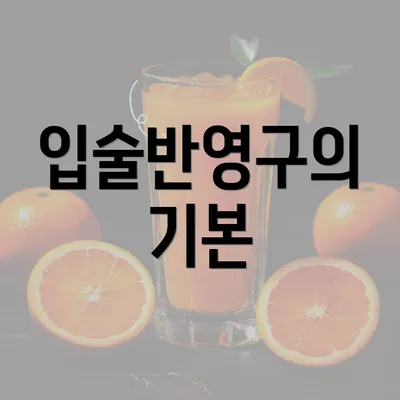 입술반영구의 기본