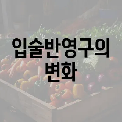 입술반영구의 변화