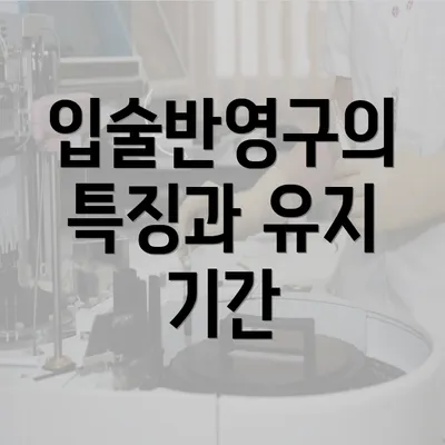 입술반영구의 특징과 유지 기간