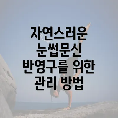 자연스러운 눈썹문신 반영구를 위한 관리 방법