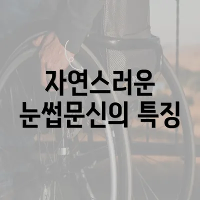 자연스러운 눈썹문신의 특징