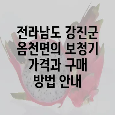 전라남도 강진군 옴천면의 보청기 가격과 구매 방법 안내