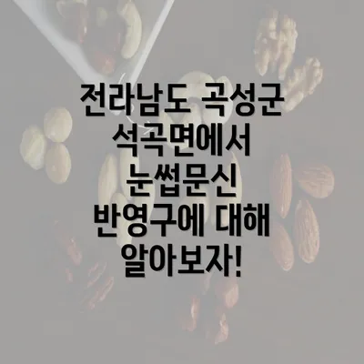 전라남도 곡성군 석곡면에서 눈썹문신 반영구에 대해 알아보자!