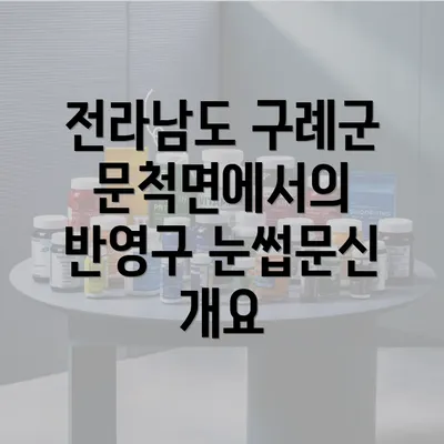 전라남도 구례군 문척면에서의 반영구 눈썹문신 개요