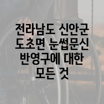 전라남도 신안군 도초면 눈썹문신 반영구에 대한 모든 것