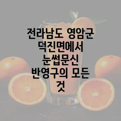 전라남도 영암군 덕진면에서 눈썹문신 반영구의 모든 것