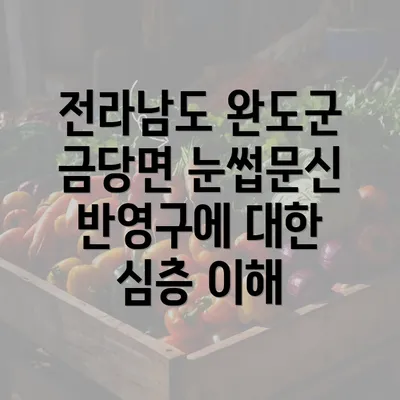 전라남도 완도군 금당면 눈썹문신 반영구에 대한 심층 이해