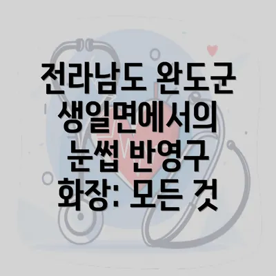 전라남도 완도군 생일면에서의 눈썹 반영구 화장: 모든 것