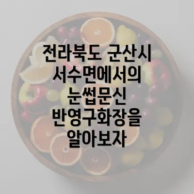 전라북도 군산시 서수면에서의 눈썹문신 반영구화장을 알아보자