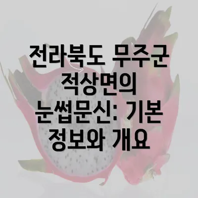 전라북도 무주군 적상면의 눈썹문신: 기본 정보와 개요