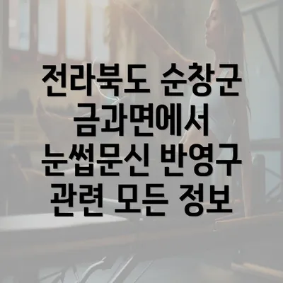 전라북도 순창군 금과면에서 눈썹문신 반영구 관련 모든 정보