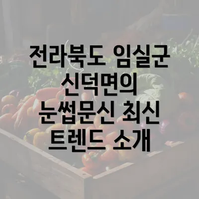 전라북도 임실군 신덕면의 눈썹문신 최신 트렌드 소개