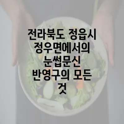 전라북도 정읍시 정우면에서의 눈썹문신 반영구의 모든 것