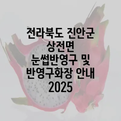 전라북도 진안군 상전면 눈썹반영구 및 반영구화장 안내 2025