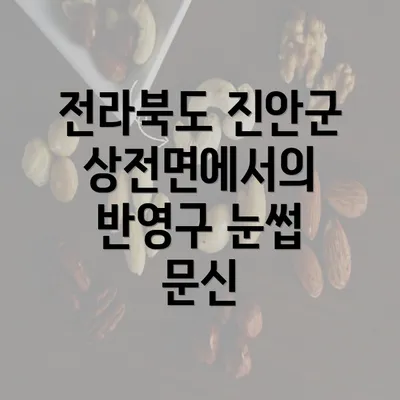 전라북도 진안군 상전면에서의 반영구 눈썹 문신