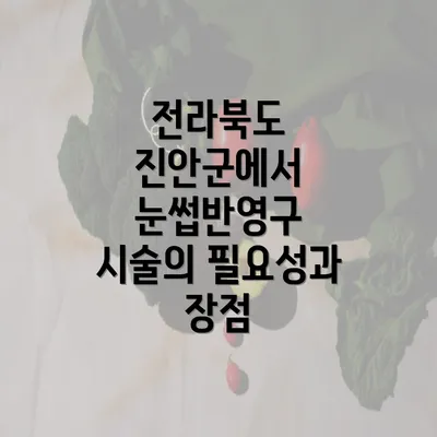 전라북도 진안군에서 눈썹반영구 시술의 필요성과 장점