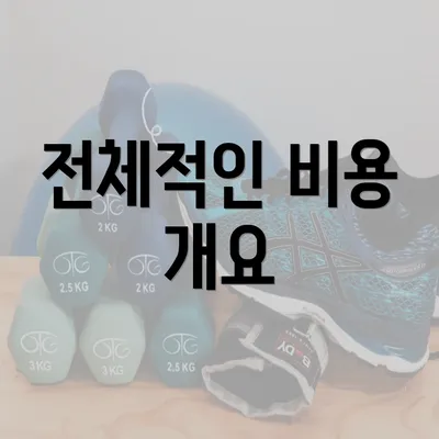 전체적인 비용 개요