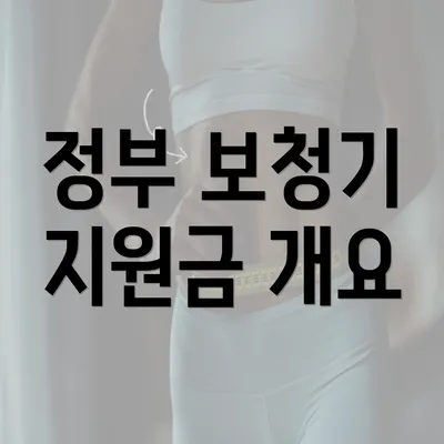 정부 보청기 지원금 개요