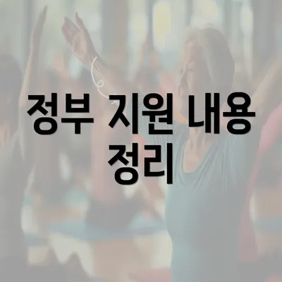 정부 지원 내용 정리