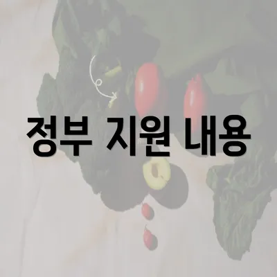 정부 지원 내용