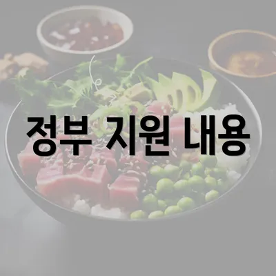 정부 지원 내용