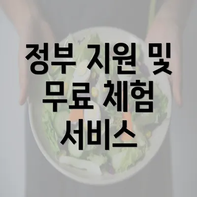 정부 지원 및 무료 체험 서비스