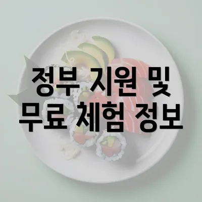 정부 지원 및 무료 체험 정보