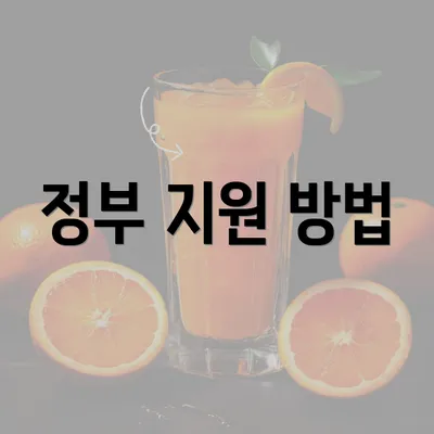 정부 지원 방법