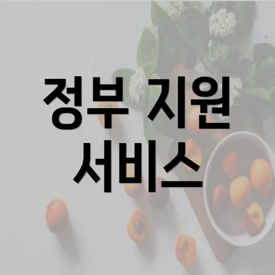 정부 지원 서비스