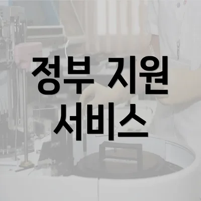 정부 지원 서비스