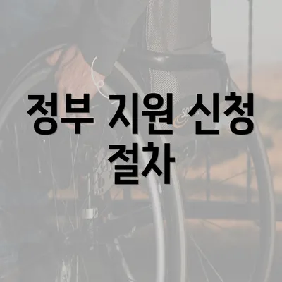 정부 지원 신청 절차