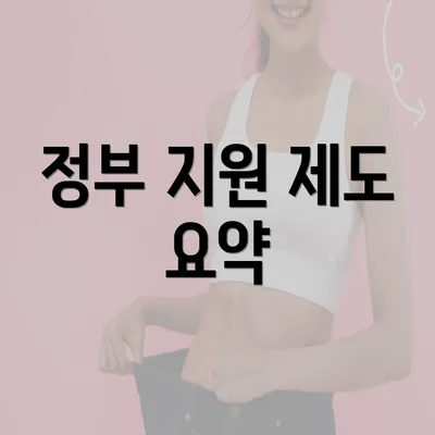 정부 지원 제도 요약