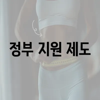 정부 지원 제도