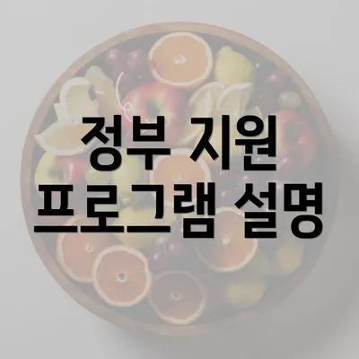 정부 지원 프로그램 설명