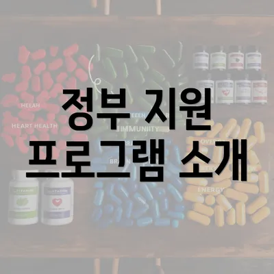 정부 지원 프로그램 소개