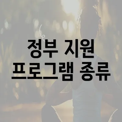 정부 지원 프로그램 종류