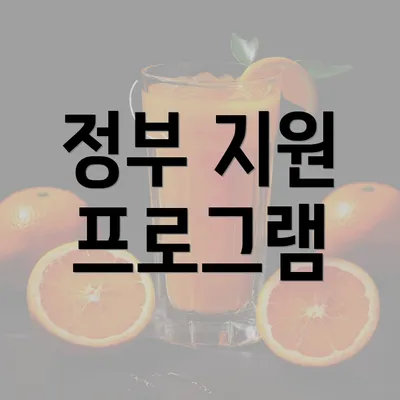 정부 지원 프로그램