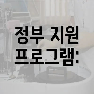 정부 지원 프로그램: