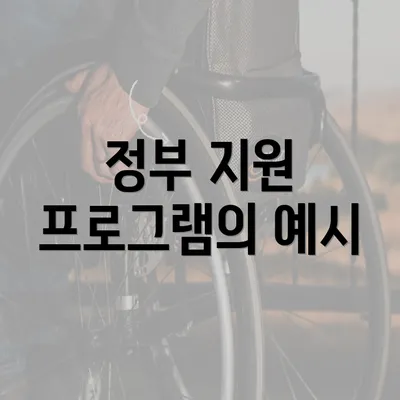 정부 지원 프로그램의 예시