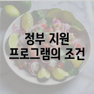 정부 지원 프로그램의 조건